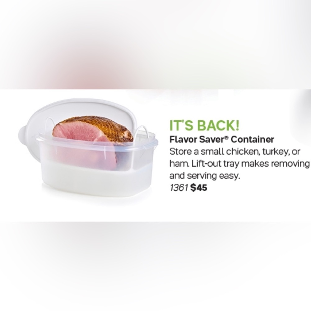 A Tupperware Classic the Flavour Saver aka The Turkey Keeper